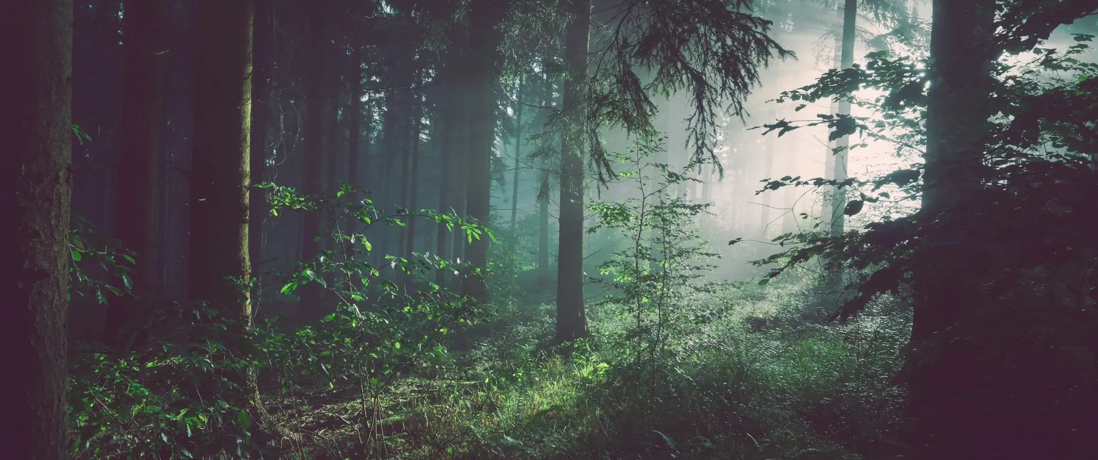 Sustainability hero background